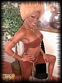 Foxy Angel pic